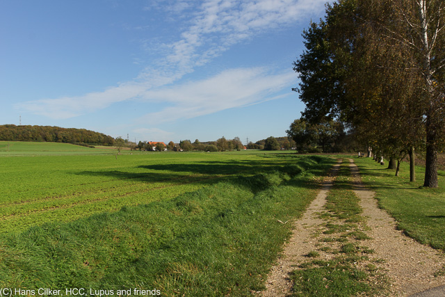 von Brochterbeck zum Habichtswald