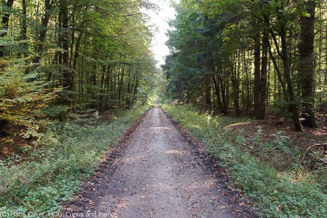 von Brochterbeck zum Habichtswald