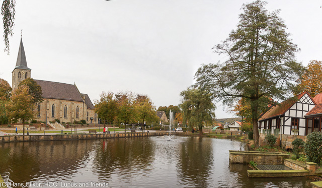 von Birgte nach Brochterbeck