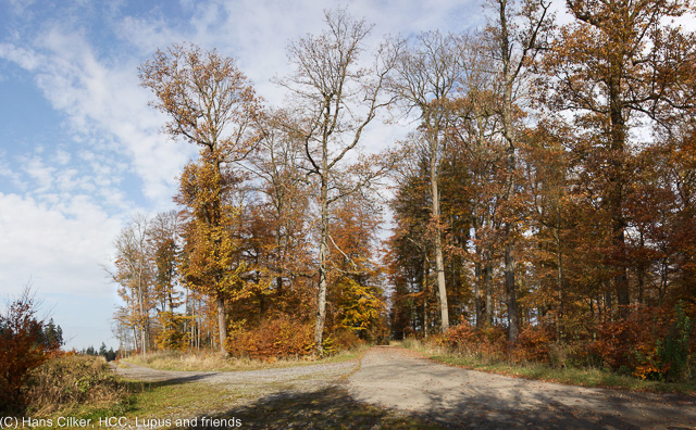 von Bleiwäsche geht es ins Tal der Glashütte