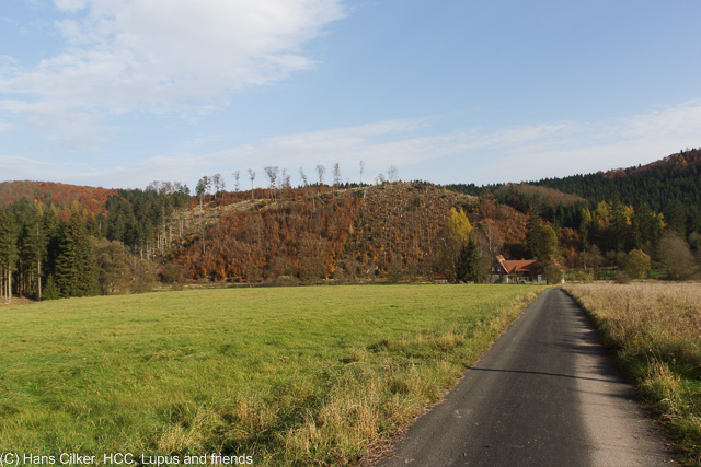 von Bleiwäsche geht es ins Tal der Glashütte