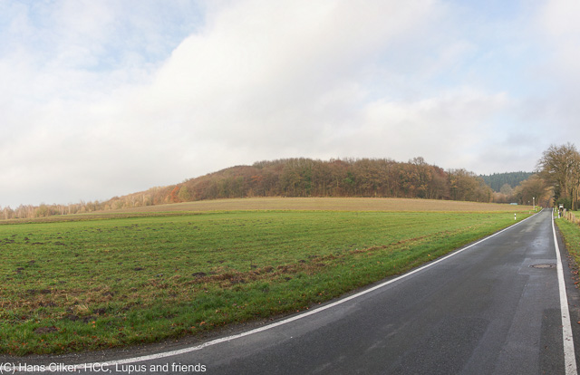 von Steinhagen zum Waldgasthof Bergfrieden