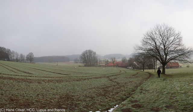 vom Waldgasthof Bergfrieden bis nach Halle