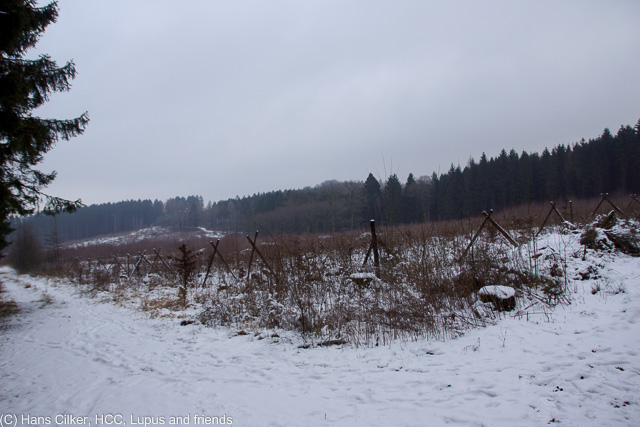 Vom Torhaus zum Aussichtsturm und über das Naturschutzgebiert zurück