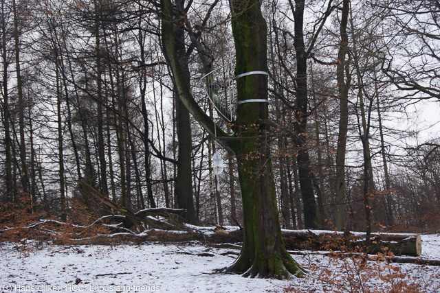 Vom Torhaus zum Aussichtsturm und über das Naturschutzgebiert zurück
