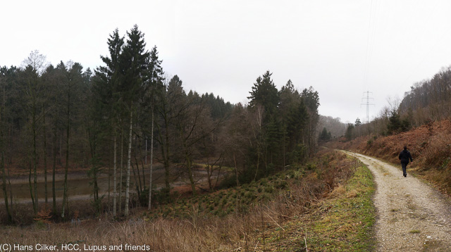 von Halle nach Westbarthausen