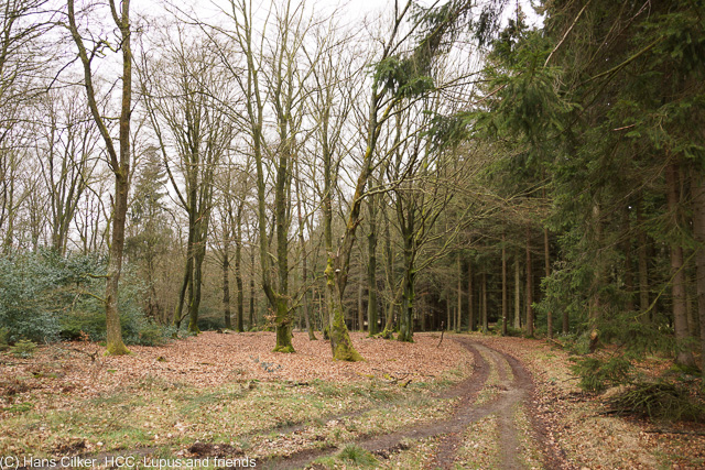 von Wachmecke nach Baingsen