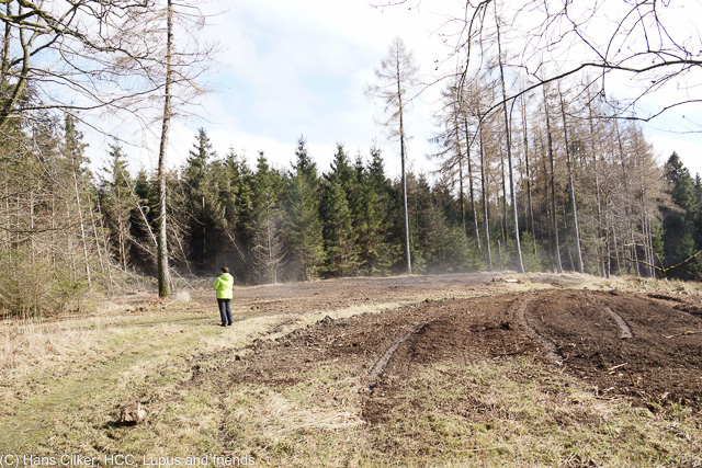 von Wachmecke nach Baingsen