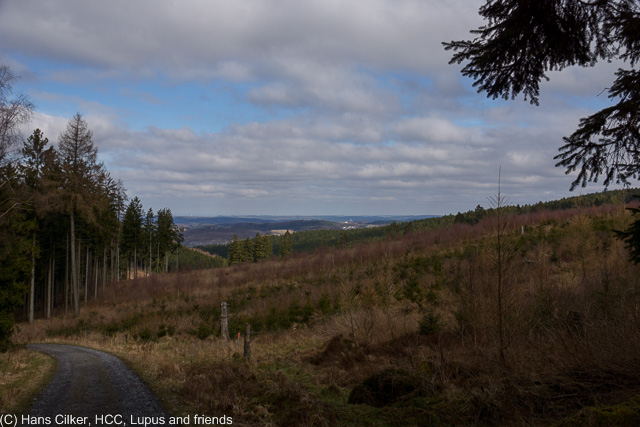 von Wachmecke nach Baingsen