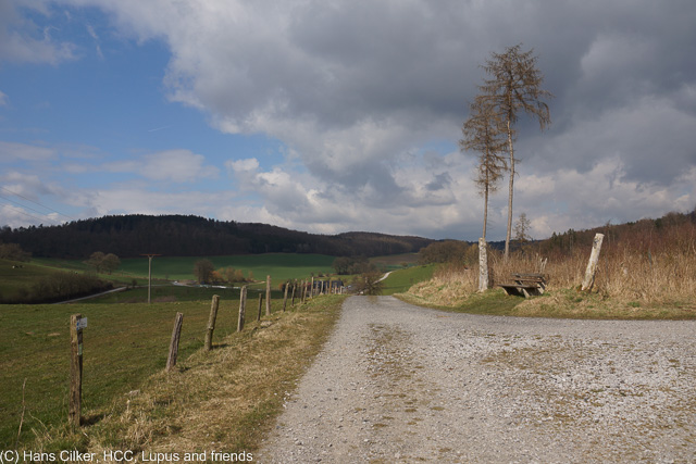 von Baingsen zum Orlebach