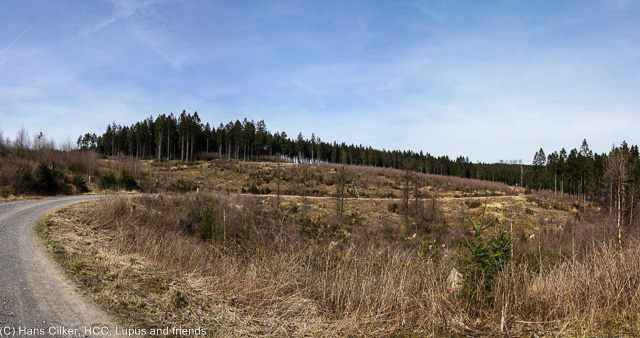 von dem Orlebach zur Selmeke