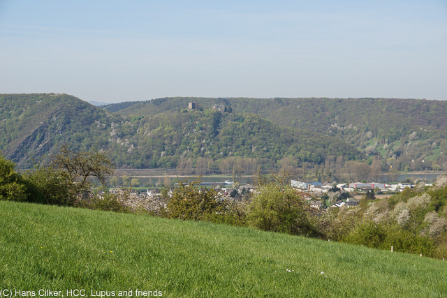 aber anders herum, die Bahn hat Verspätung und wir müssten über eine Stunde auf den Bus warten, deswegen starten wir direkt in Bad Hönningen und an der Bauernschänke in Rodenbach freuen die sich uns erneut zu sehen. Zwischen drin ein SB Kneipe, echt super.
