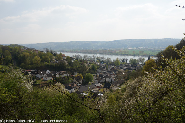 aber da die Bahn streikt und am Morgen ein Zug fährt nutzen wir die Gelegenheit und fahren erst mal nach Unkel umd dann nach Bad Hönningen zu wandern und dieses mal erwischen wir gleich zwei Restaurationen vom Feinsten.