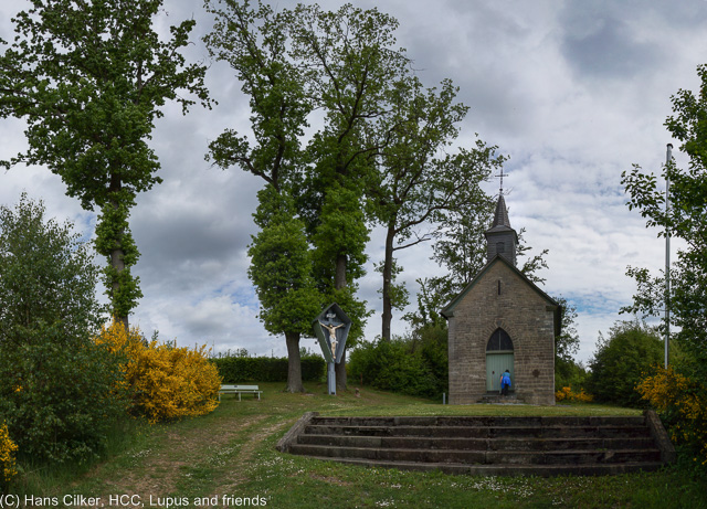 back auf der Waldroute und es geht sehr fein weiter, erst hinauf auf die Höhen oberhalb der Sorpe, dann runter nach Sundern und wieder hoch in den Wald vor Arnsberg, da geht es dann zurück, das Wetter wird zunehmend schlechter.