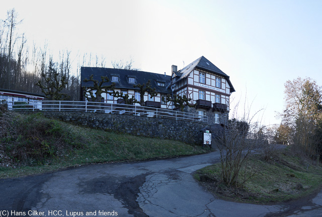 leider nicht ganz so fein vom Weg her und es geht gewalltig rauf und runter bei wenig Abwechselung und so steigen wir nicht mehr hoch zum Drachenfels sondern wandern durch Rhöndorf.