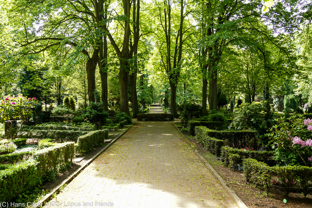 Wir starten in Lübbecke und gehen über den Friedhof rauf zum Reineberg und dem Land Cafe, dann über die Goebenstrasse zurück, die ganzen Industriebauten in Lübbecke, sie sind verschwunden.