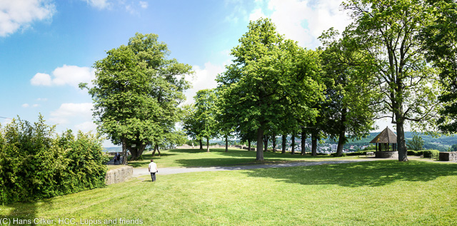 Wir gehen auf den Spuren des Hanseweges zum Startpunkt auf der Waldroute, wie beim ersten mal auch, Arnsberg ist spitze, aber die Waldroute mal eher wieder mau. Zuviel Wald und kaum Abwechselung.