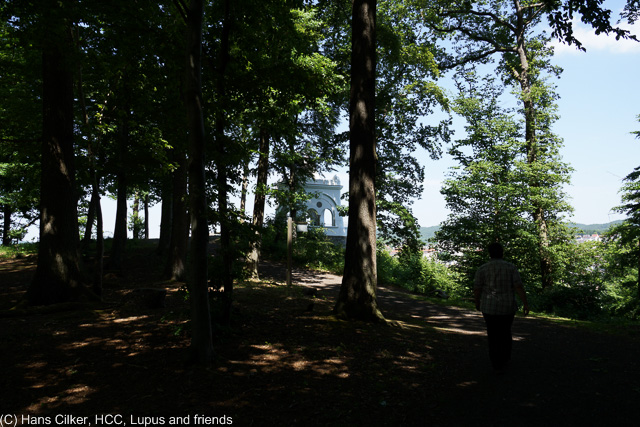 Wir gehen auf den Spuren des Hanseweges zum Startpunkt auf der Waldroute, wie beim ersten mal auch, Arnsberg ist spitze, aber die Waldroute mal eher wieder mau. Zuviel Wald und kaum Abwechselung.