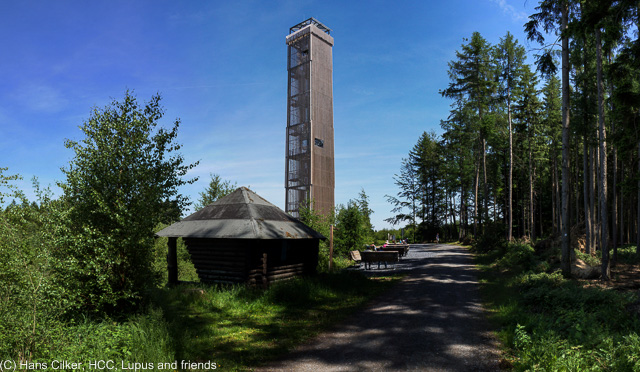 Sehr feiner Weg, aber leider bis zum Torhaus unerträglich laut wegen der Motorräder ohne Schalldämpfer, ab da dauert es eine Weile bis es wieder einsam wird, aber das Moortal ist spitze.