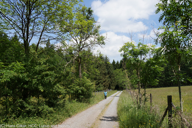 Wir finden überraschend einen Parkplatz am Anfang des Weges, der Weg selber ist klasse, total einsam und nach zwei dritteln des Weges ein Gasthaus.