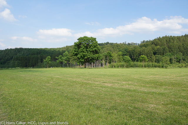 Wir finden überraschend einen Parkplatz am Anfang des Weges, der Weg selber ist klasse, total einsam und nach zwei dritteln des Weges ein Gasthaus.