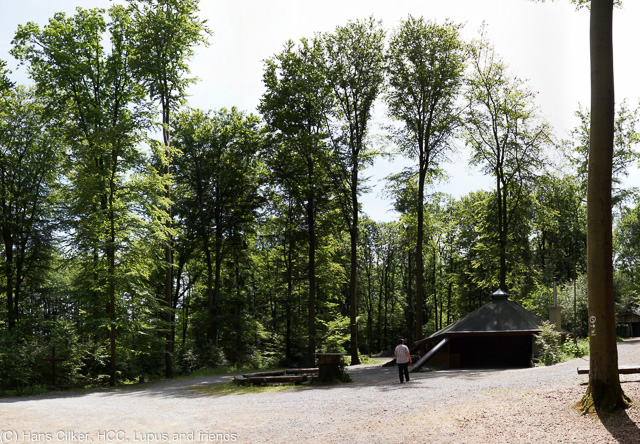 wir laufen vorbei an der Bielsteinhöhle, kehren dort nett ein und werden vermutlich von Christians Schwägerin ex bedient, dann über Warstein hoch zum Lörmeketurm, einfach nur fein dort. Leider sehr spät und so wird alles etwas eng.