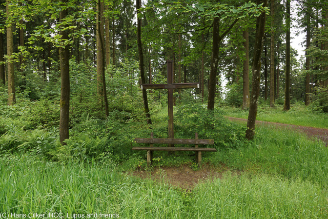 Das war nicht prall, erst nur Wald, dann wegen der Baustelle ein neuer Weg und der war echt nur schlecht, nun ja, mal wieder eine Etappe zum Weglaufen.