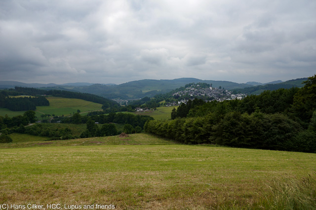 Das war nicht prall, erst nur Wald, dann wegen der Baustelle ein neuer Weg und der war echt nur schlecht, nun ja, mal wieder eine Etappe zum Weglaufen.