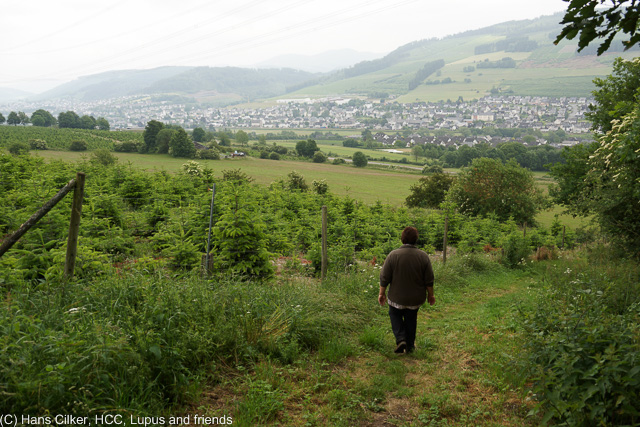 Das war nicht prall, erst nur Wald, dann wegen der Baustelle ein neuer Weg und der war echt nur schlecht, nun ja, mal wieder eine Etappe zum Weglaufen.
