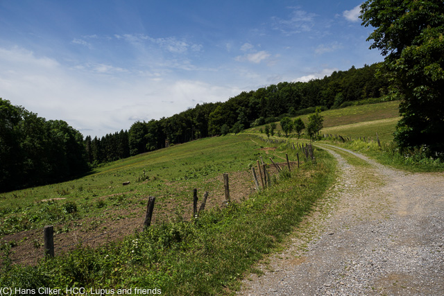 Wir starten am Waldparkplatz oberhalb von Olsberg, wandern dann runter durch Olsberg und Bigge und über den Bestwig Panoramaweg zur Waldroute, da dann zurück über Bigge und hoch zum Parkplatz, der Weg durchwachsen, aber zumindest teilweise tolle Sichten.