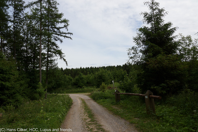 Wir starten am Waldparkplatz oberhalb von Olsberg, wandern dann runter durch Olsberg und Bigge und über den Bestwig Panoramaweg zur Waldroute, da dann zurück über Bigge und hoch zum Parkplatz, der Weg durchwachsen, aber zumindest teilweise tolle Sichten.