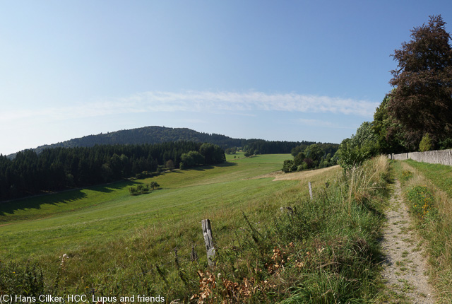 Der Weg wurde umgelegt, wir steigen fast 200 Höhenmeter, wandern 2 km weiter und haben dafür auf den ersten 5 Kilometern nix, keine Aussicht, nix, am Biggesee selber die nächste Enttäuschung, keine Sicht auf den See, dafür Motorradlärm, der Rückweg allerdings zeigt, es gibt Sicht und weniger Lärm, nur etwas weiter oben.