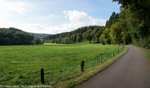 Wir starten in Padberg und gehen erst mal Richtung Marsberg, dann beim alten Stollen wechseln wir auf den Rückweg bis zur Diemel, von da wieder zum Auto, aber der Weg ist grausam, durch den Wald statt Aussicht, Kapelle mit Einsturzgefahr und dann ist die Markierung weg.