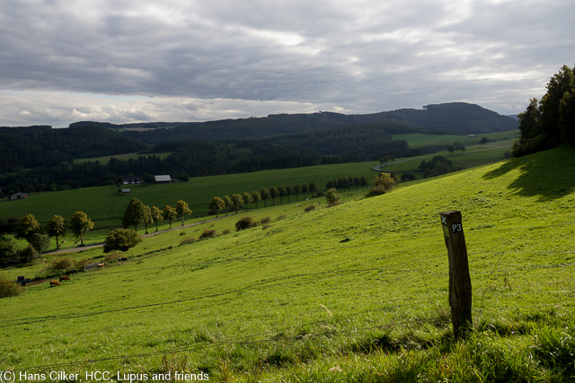 Wir starten in Padberg und gehen erst mal Richtung Marsberg, dann beim alten Stollen wechseln wir auf den Rückweg bis zur Diemel, von da wieder zum Auto, aber der Weg ist grausam, durch den Wald statt Aussicht, Kapelle mit Einsturzgefahr und dann ist die Markierung weg.