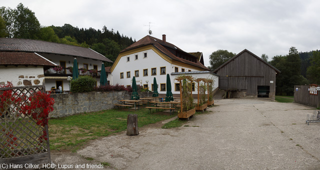 das Wetter eine Katastrophe, es Nieselt aber dann, ich bin ohne Frühstück los, eine Gaststädte mit Frühstückskarte, das sit so genial und wäre der ständige Regen nicht, der Fluss ist spitze, leider sieht man am Rückweg so gut wie Nichts von der Ilz.