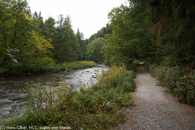 das Wetter eine Katastrophe, es Nieselt aber dann, ich bin ohne Frühstück los, eine Gaststädte mit Frühstückskarte, das sit so genial und wäre der ständige Regen nicht, der Fluss ist spitze, leider sieht man am Rückweg so gut wie Nichts von der Ilz.