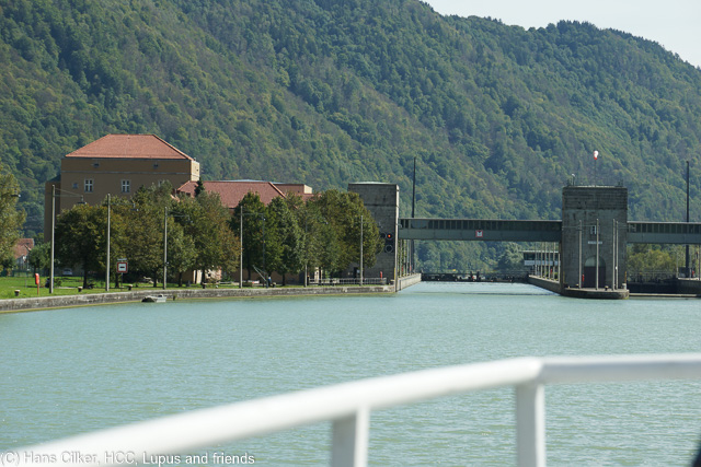 Da ja die Grenzen dicht sind wegen Syrern, nehmen wir das Schiff nach Schlögen, Zuvor ein Stadtrundgang, nach wie vor sehr eng da und auf der Donau dann ein echter Sturm.