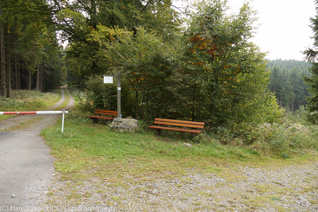 das Tal der Aa wie immer ein Highlight, aber der Rest erst mal viel Wald, auf den letzten Drücker dann dieser spitzen Steinbruch.