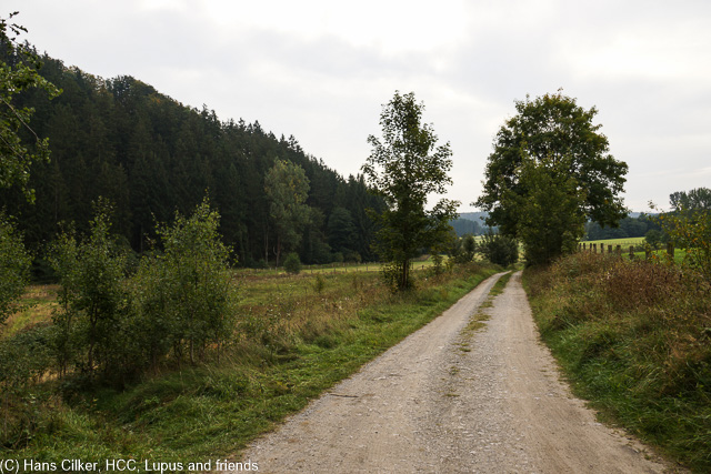 das Tal der Aa wie immer ein Highlight, aber der Rest erst mal viel Wald, auf den letzten Drücker dann dieser spitzen Steinbruch.