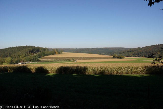 wir starten an der Kirche in ASlme, sooft sind wir dadurch, aber das da soviele Quellen sind und das es ein Schloss gibt wussten wir auch noch nicht, die Wanderung selber, sie nimmt mich etwas mit, geschwächt durch die Erkältung und dann gibt es im Schloss nichts, kein Service auf der Freiterrasse