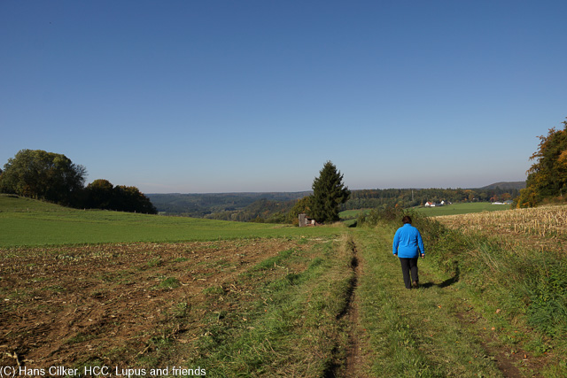 wir starten an der Kirche in ASlme, sooft sind wir dadurch, aber das da soviele Quellen sind und das es ein Schloss gibt wussten wir auch noch nicht, die Wanderung selber, sie nimmt mich etwas mit, geschwächt durch die Erkältung und dann gibt es im Schloss nichts, kein Service auf der Freiterrasse