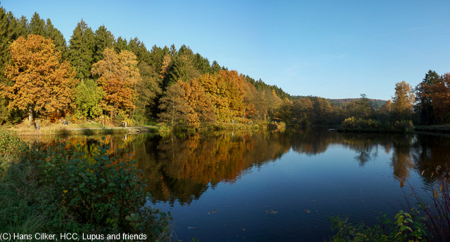 wir starten am Parkplatz oberhalb von Biebertal und wandern durch den herbstlichen Wald, Aussicht, ja, aber erst als wir auf dieWaldroute treffen und auch nur weil wir ein Stück davon abweichen. Biebertal dann schon sehr schön und ein tolles Erlebnis für Kinder.