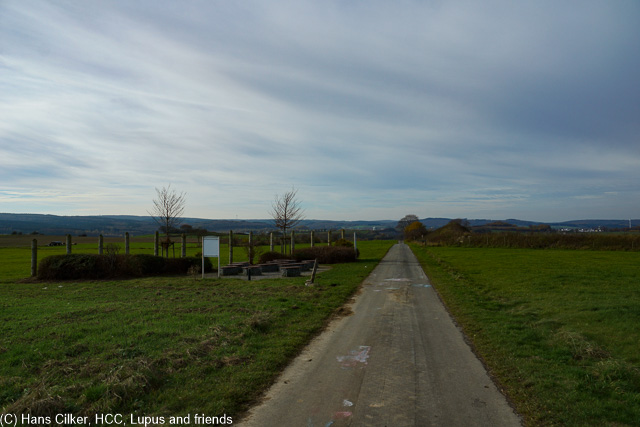 oh Elend, wie kriegen den Kreis nicht zu, zwar erreichen wir Warstein, aber dann beschließen wir noch eine Runde in Warstein zu drehen, also wird es noch Step 21 geben, für die Länge noch immer nicht schlecht.
