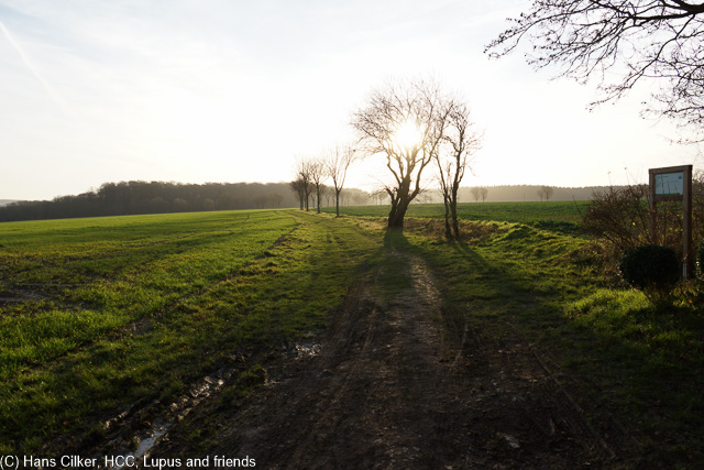 zum einen wollen wir nicht die vollen 20 km, zum Anderen gerne auch in der Sonne, aber fein ist der.
