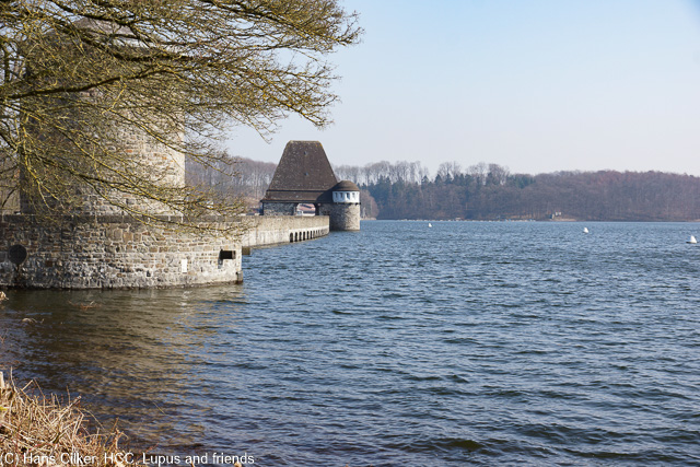 Bewi knallend Blau geht es vom Torhaus über den Randweg zur Staumauer, über Deleke und durch das Naturschutzgebiet zurück.