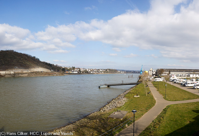 am Anreisetag schauen wir uns um wo es für den Rheinburgenweg fein wäre zu schlafen, gleichzeitig genießem wir die beschauliche Ruhe am Rhein, leider etwas kalt