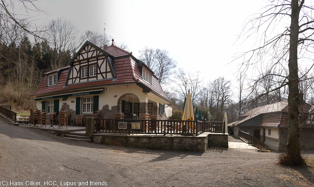 hatte es vorgestern schon Wald, heutre auch, was daran Rheinsteig ist wissen nur die Werbe Fuzzis, aber Bonn entschädigt dann doch und wir haben fertig.