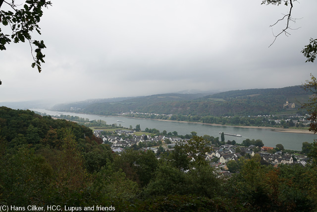 Durchwachsene Geschichte, zwar ist der Weg nicht schlecht, aber für unseren Geschmack ist verdammt viel Walfd drin und weder Rhein noch Burg besonders oft, eigentlich sehr selten.