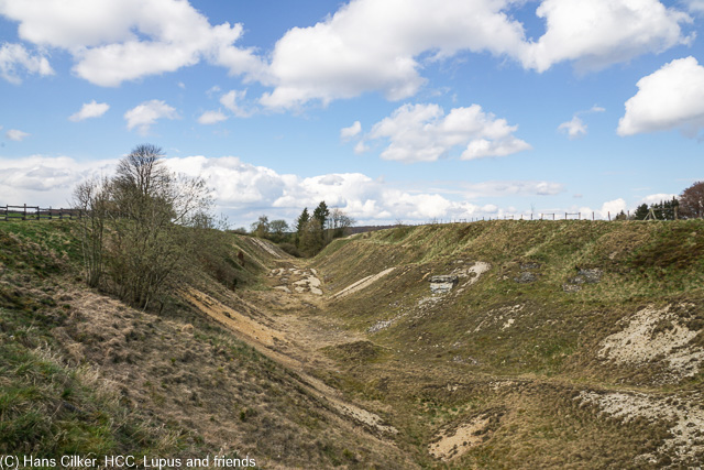 Dieses mal mit dem Wanderverein auf dem Eggeweg, echt cool und man lernt Leute kennen.