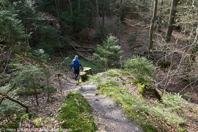 Dieses mal mit dem Wanderverein auf dem Eggeweg, echt cool und man lernt Leute kennen.